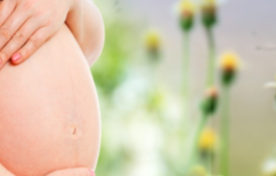 Qualifications In Becoming A Surrogate Mother