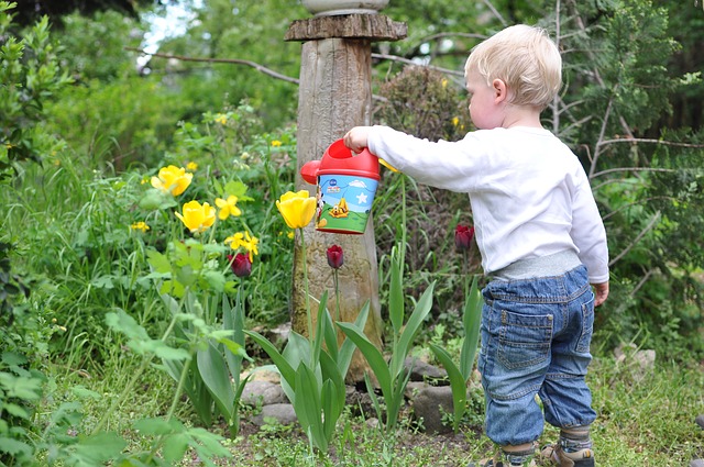 watering